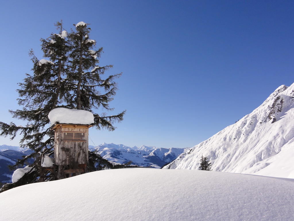 Matzhof Apartment Leogang Bagian luar foto